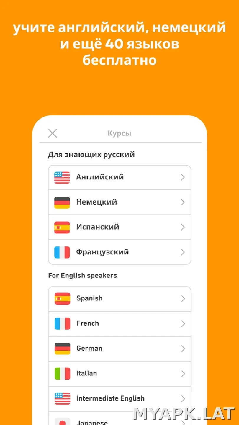 Дуолинго скриншот 6