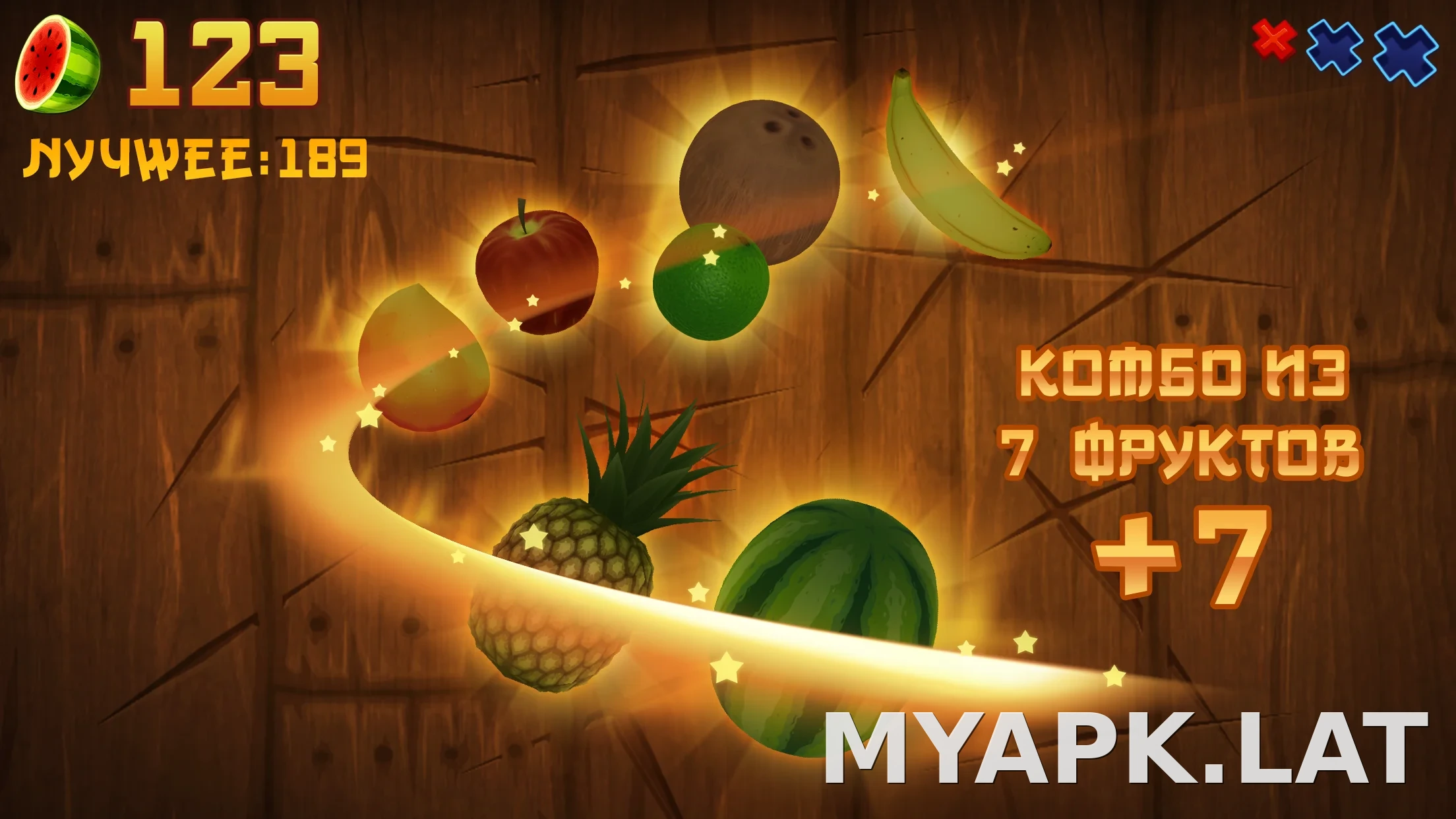 Fruit Ninja скриншот 1