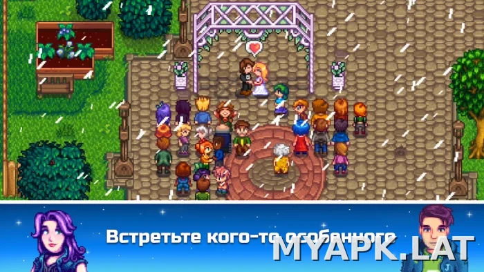 Stardew Valley скриншот 5