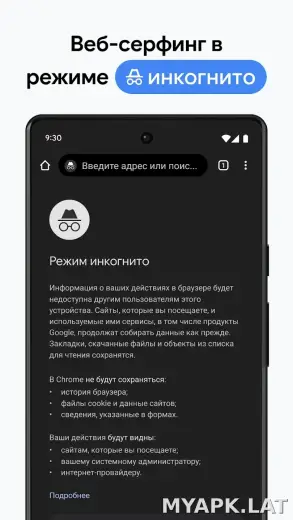 Google Chrome скриншот 3